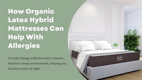 How Organic Latex Hybrid Mattresses Can Help With Allergies – Sweet Zzz ...