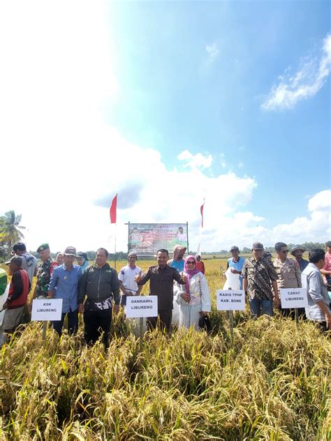 Ffd Csa Kementan Bantu Petani Bone Tingkatkan Produktivitas Radar Bone