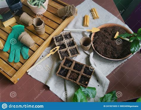 Process Of Planting Seeds In Eco Friendly Containers Gardening Tools