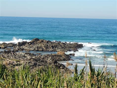 Watch Shocking Finds During Leisure Bay Clean Up The Citizen