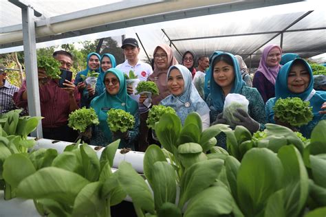 Sofha Marwah Bahtiar Panen Sayuran Dan Beri Bantuan PMT Untuk Anak