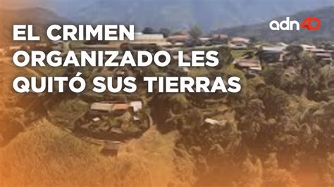 Familias Huyen De Los Morros Y Son Desplazados Debido Al Crimen