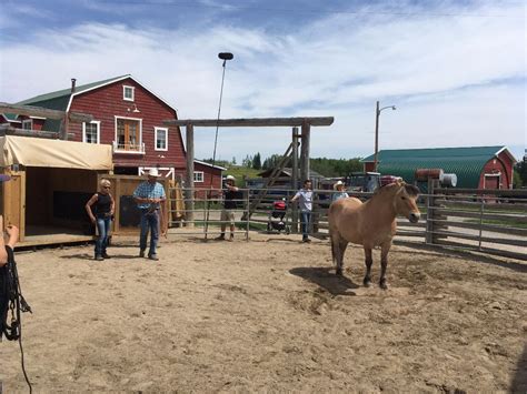 A nice day with horses on set! - Heartland