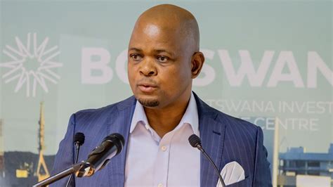 Botswana Estonian Ict Sectors Seek Deepened Cooperation