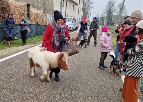 Bazza Grande Partecipazione Per La Tradizionale Festa Di Santantonio