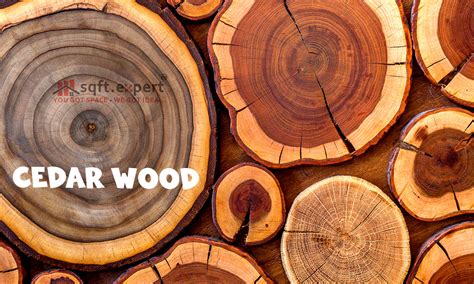 Different Types Of Teak Wood And Its Cost