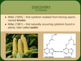 Cytokinins PPT