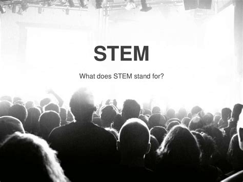 Stem What Does Stem Stand