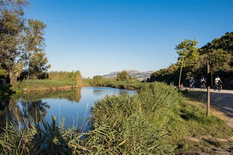 Macma Descubrimos La Marina Alta Parc Natural De La Marjal