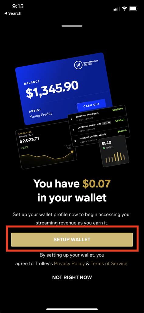 Wallet Basics Unitedmasters