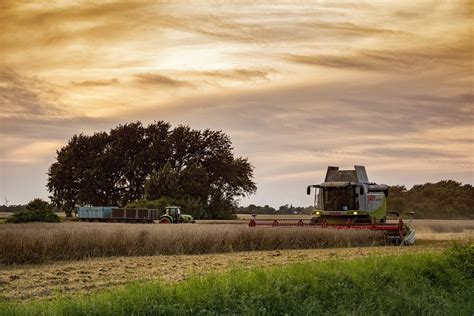 Ernte Landwirtschaft M Hdrescher Kostenloses Foto Auf Pixabay Pixabay