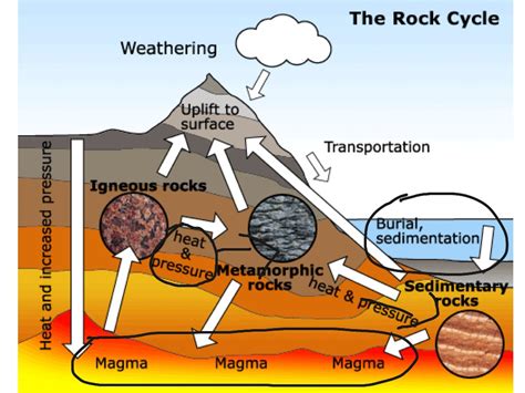 Cycle In Science