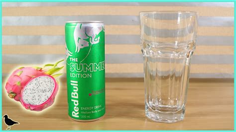 Red Bull The Summer Edition Dragon Fruit Energy Drink Review Birdew Reviews Youtube