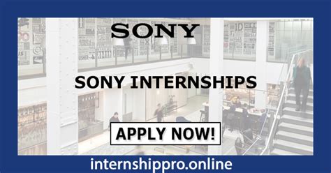 Sony Internship Summer Program 2024