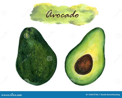 Watercolor Healthy Food Collection Avocado And Seed Isolated On White