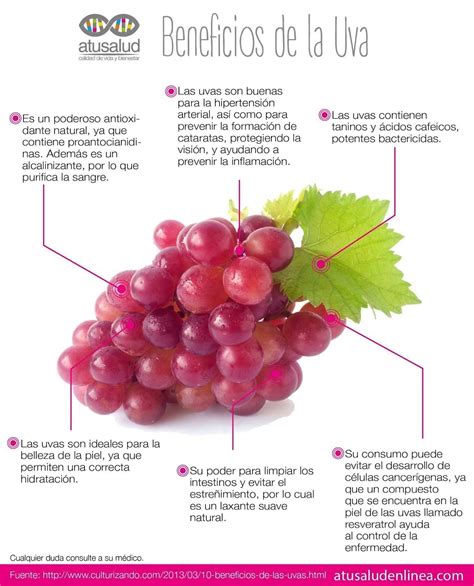 El Deporte En El Mater Propiedades De Las Uvas