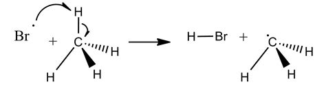 Free Radical Halogenations – Educator.com Blog