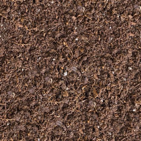 Seamless Texture of Brown Soil | Stock Photo | Colourbox