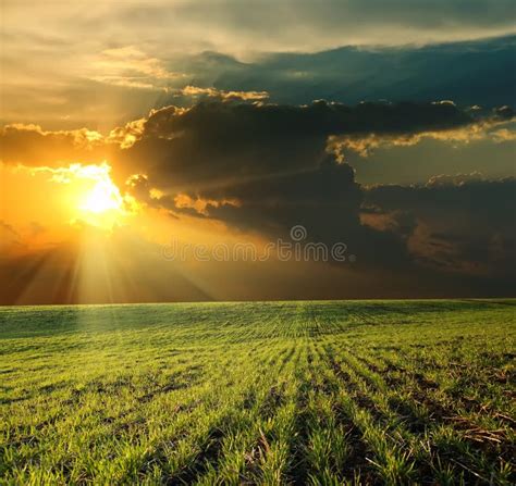 Paisaje Rural Campo De Trigo Con Hermoso Cielo Durante La Puesta De