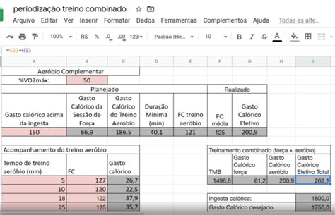 Planilha E Manual Para Periodização Do Treino Combinado Musculação E