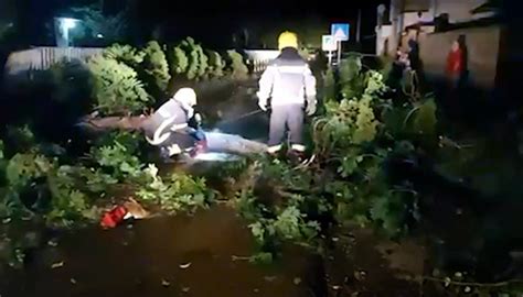 Nevreme tokom noći širom Vojvodine Vetar obarao stabla prekidi u