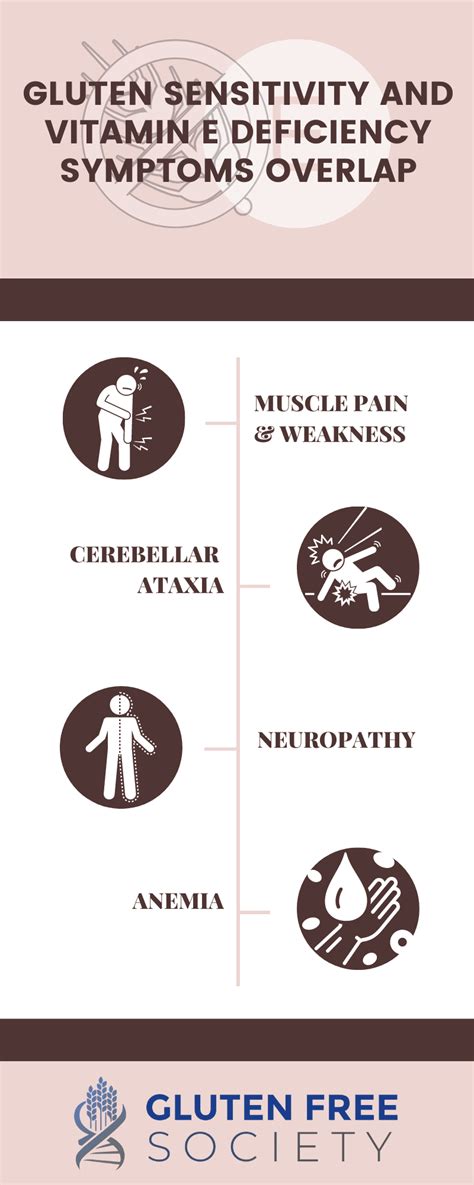 Can Gluten Cause Vitamin E Deficiency? - Gluten Free Society