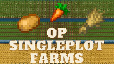 This Is The Most Efficient Single Plot Farm For Carrot Wheat And