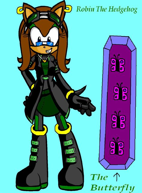 Robin Sonic Riders Style By Shadowthehedgehog23 On Deviantart