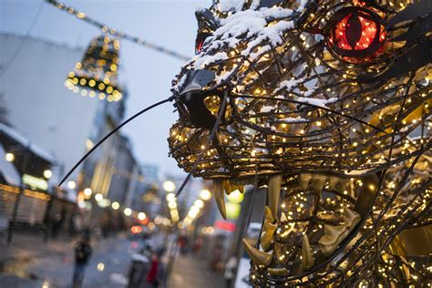 The Icelandic Christmas Cat Wants To Eat You Whats On In Reykjavík