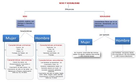 Mapa Conceptual Sexo Y Sexualidad Pdf