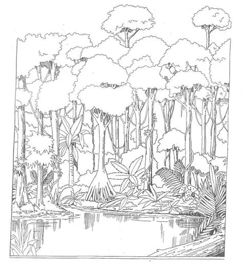 Desenhos de Floresta Amazônica para Colorir Pintar e Imprimir