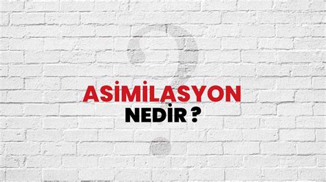 Asimilasyon Nedir