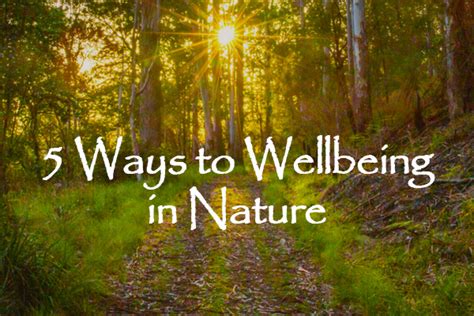 5 Ways To Wellbeing In Nature Outdoors Queensland