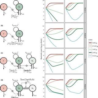 Schematic Illustrations Of Four Different Pk Pd Model Structures Left