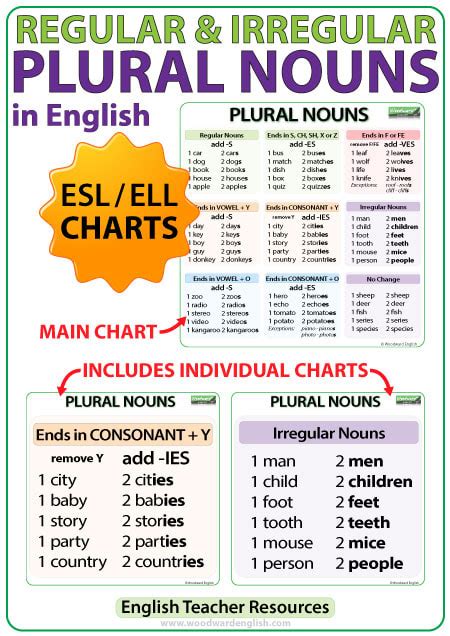 PLURAL NOUNS