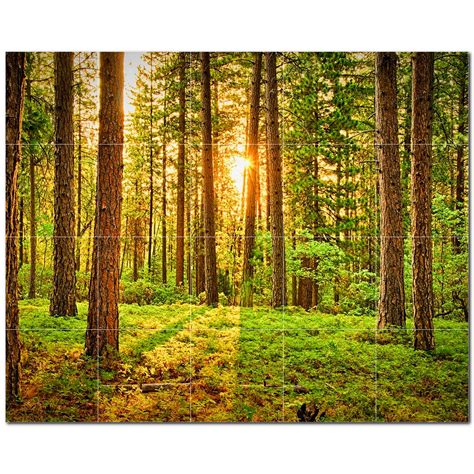 Picture Trees Photo 6 X 6 Satin Ceramic Decorative Mural Wayfair