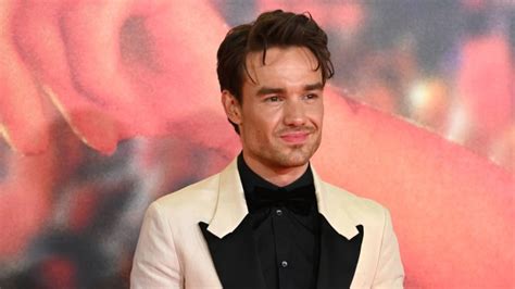 Liam Payne Set To Leave More Than 109 Million Worth Of Assets To Only