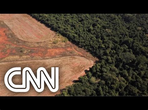 Entenda O Que é O Fundo Amazônia E Suas Atribuições Cnn Brasil