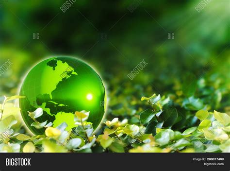 Green Nature Earth Wallpaper