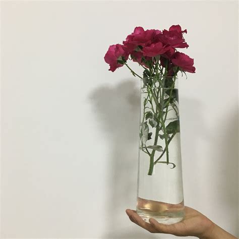 1l 15l Heatproof Glass Carafe With Stainless Lid Vicedeal