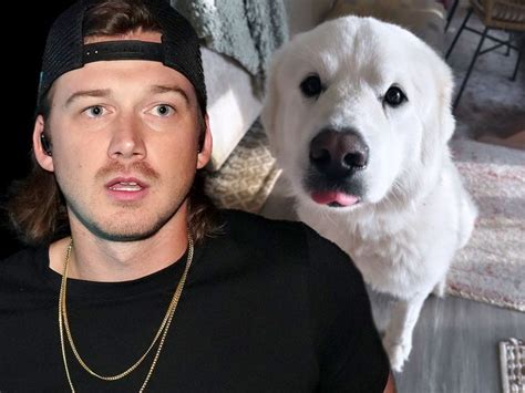 Morgan Wallen's Son Bit By Baby Mama's Dog - Cirrkus News