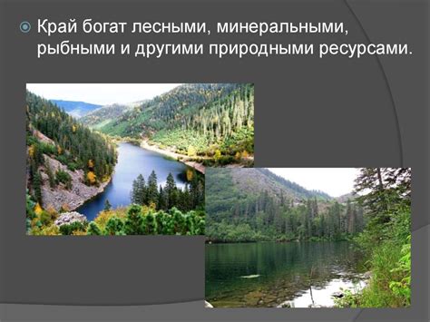 Хабаровский край - презентация онлайн