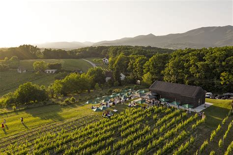 Vinogradi s pogledom očarali ljubitelje prirode i dobrih vina Domagoj