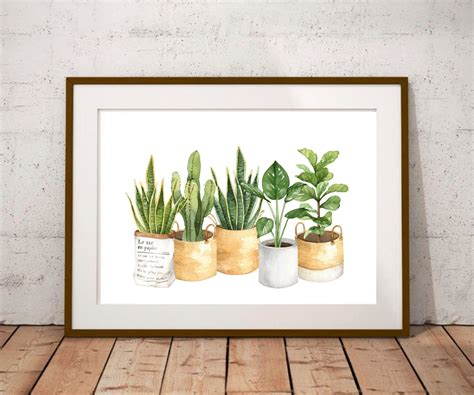 Botanical Print Houseplant Painting Plant Poster Potted Etsy In