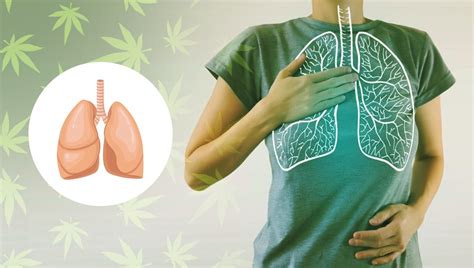 5 Beneficios De Salud De Los Comestibles De Cannabis Semillas De