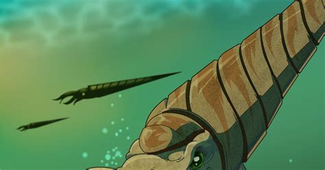 Prehistoric Shelled Mollusk Mortalshinobiのイラスト Pixiv