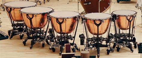 Types Of Orchestra Drums