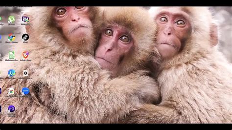 Hentai D Uncensored Emily Handjob And Anal Japanese Asian Manga Anime Film Game Porn XHamster