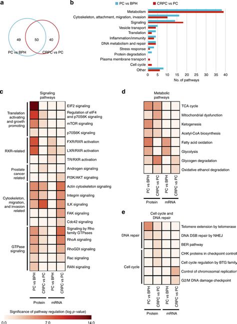 Proteomic Analysis Identifies Novel Pathways As Regulated In Pc And