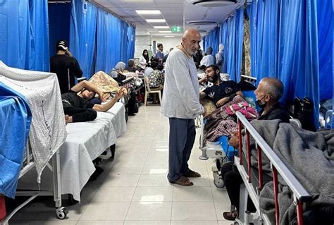 MEDIO ORIENTE Oasis De PLAGAS MORTALES Y EPIDEMIAS En GAZA Colapsa